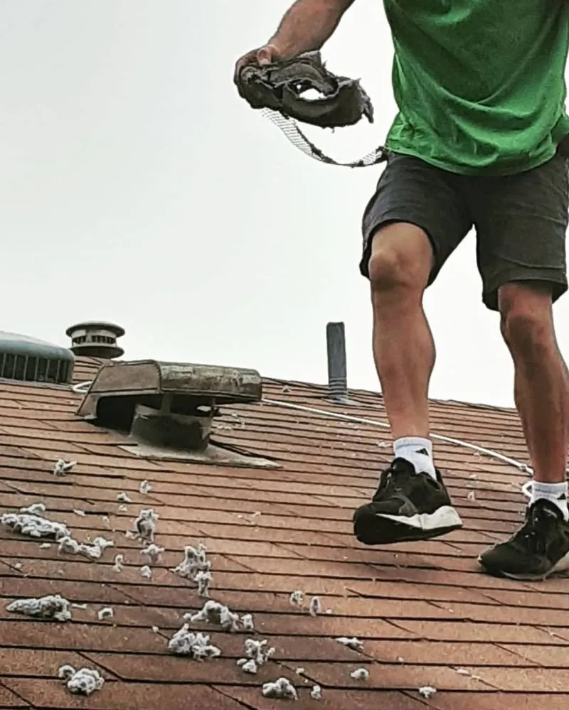 Slide of Texas Green Air