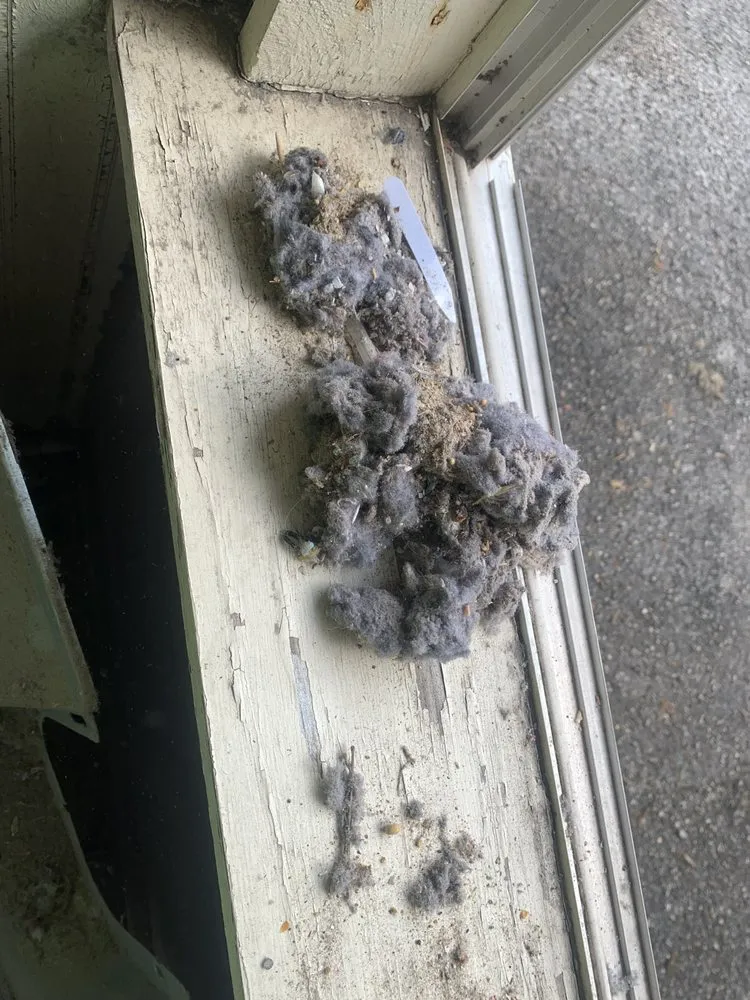 Slide of Texas Titan Mechanical