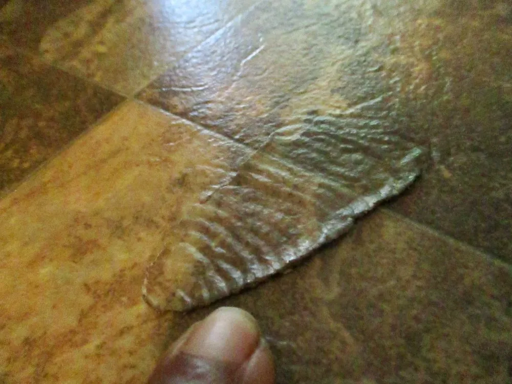 Slide of The Appliance Guys