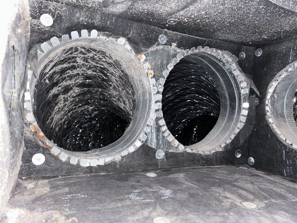 Slide of The Bigfoot Breeze