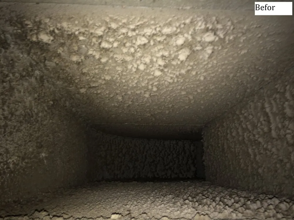 Slide of The Clean Air