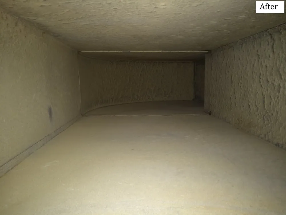 Slide of The Clean Air