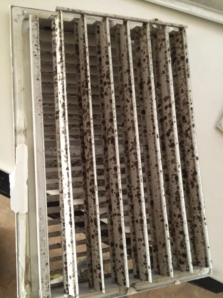 Slide of The Clean Air