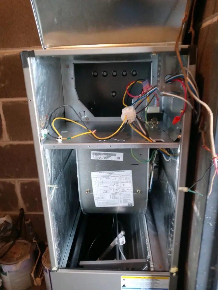 Slide of The Climate Doctor