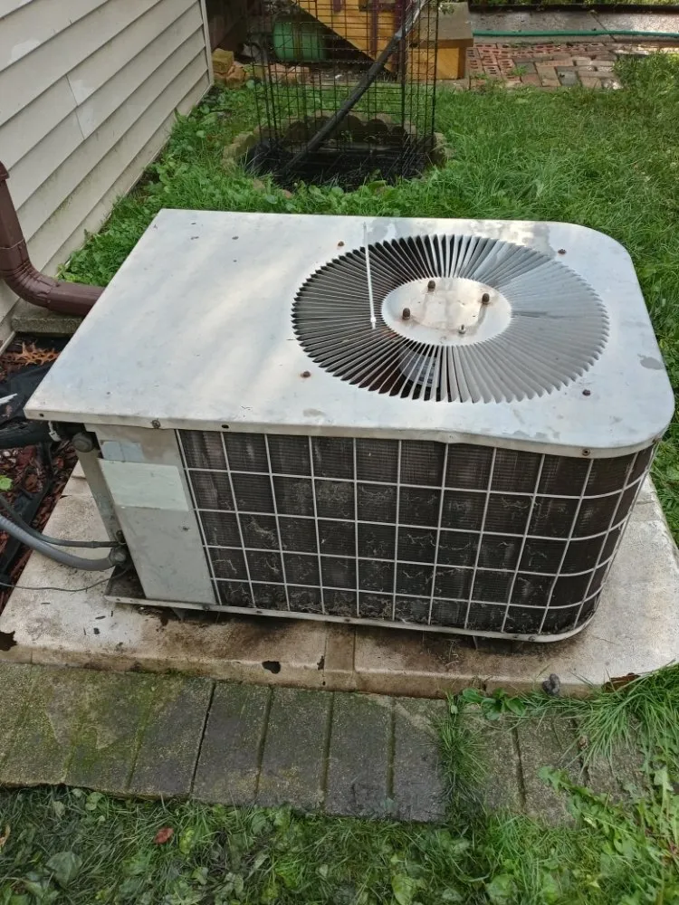 Slide of The Climate Doctor