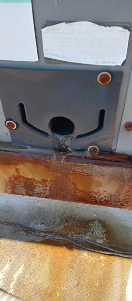 Slide of The Climate Doctor