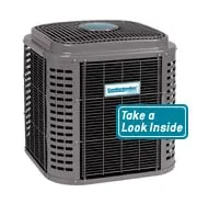 Slide of The Climate Doctor