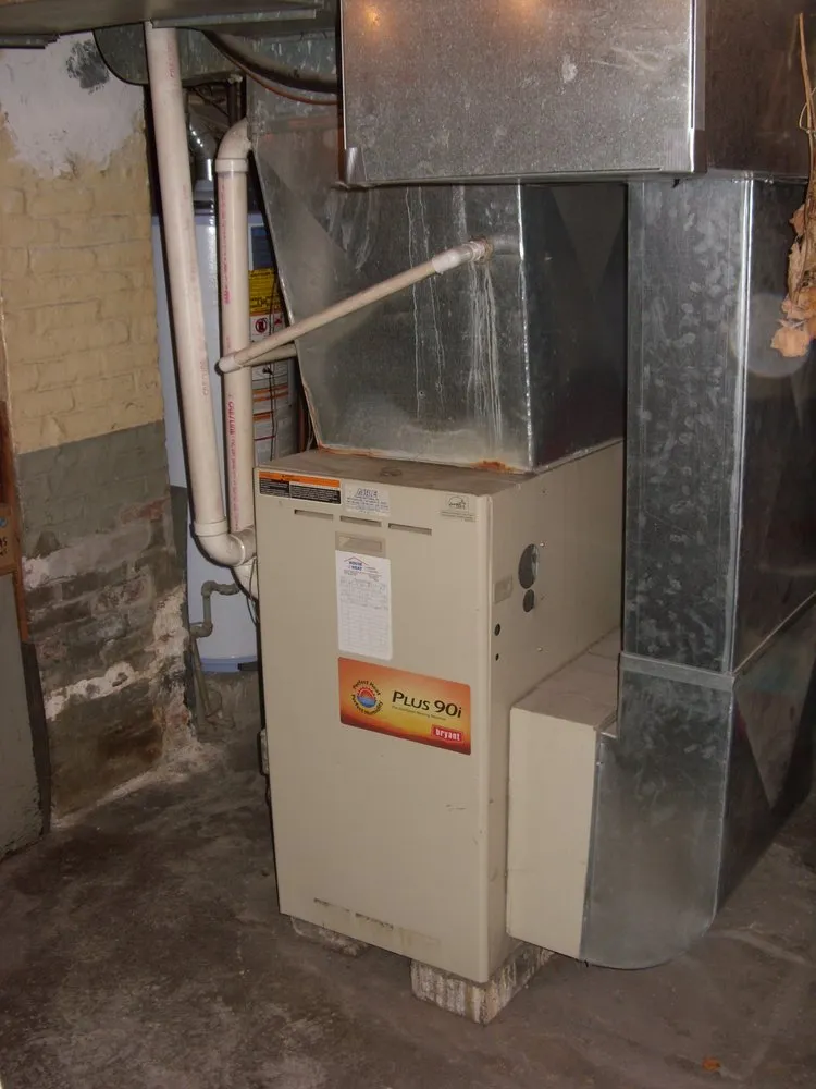 Slide of The Climate Doctor