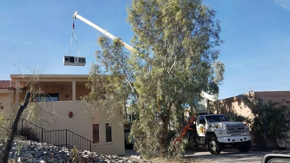 Slide of The Cool Dude