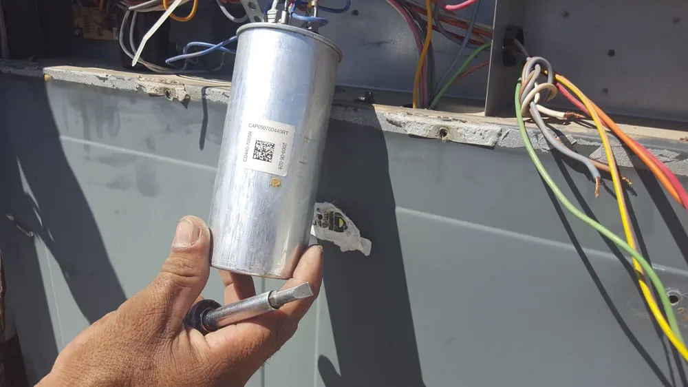 Slide of The Cool Dude