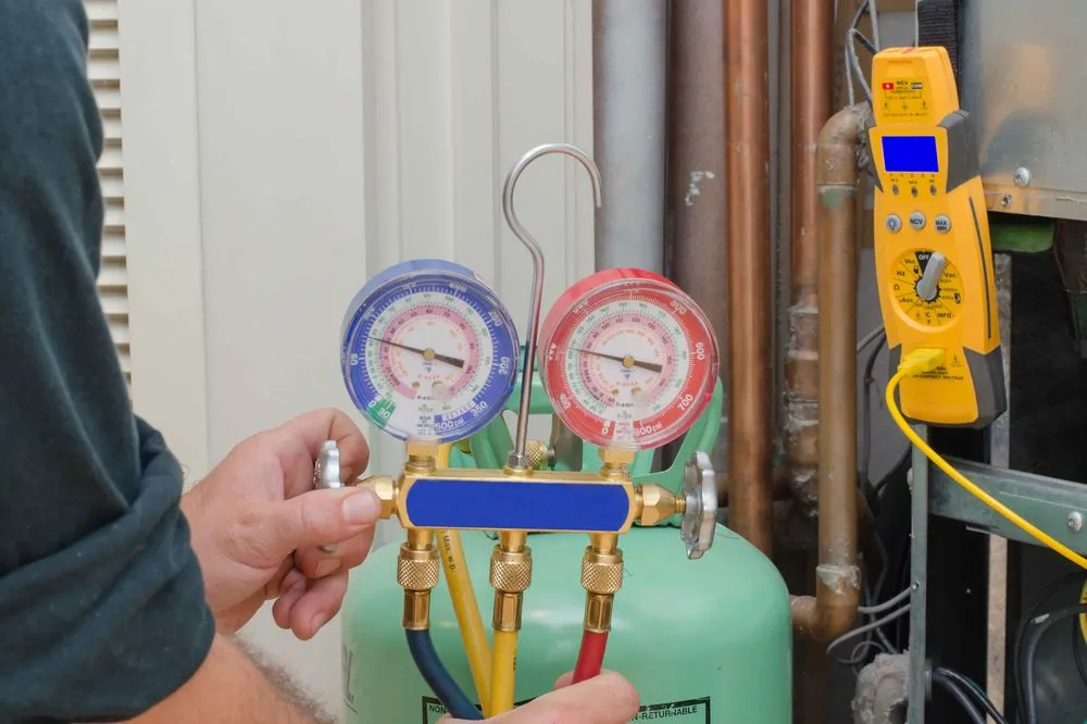 Slide of The Cool Guys