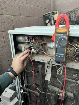 The Cool Saguaro Logo