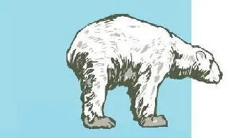 Slide of The Cooler Guy