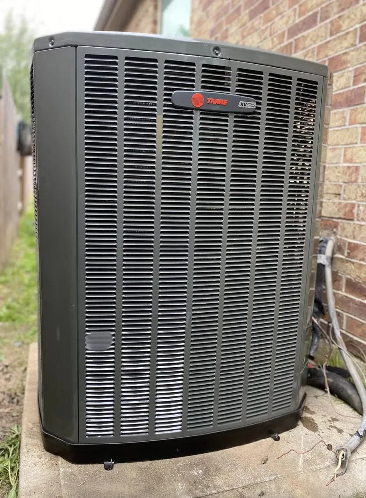 Slide of The Cozy King