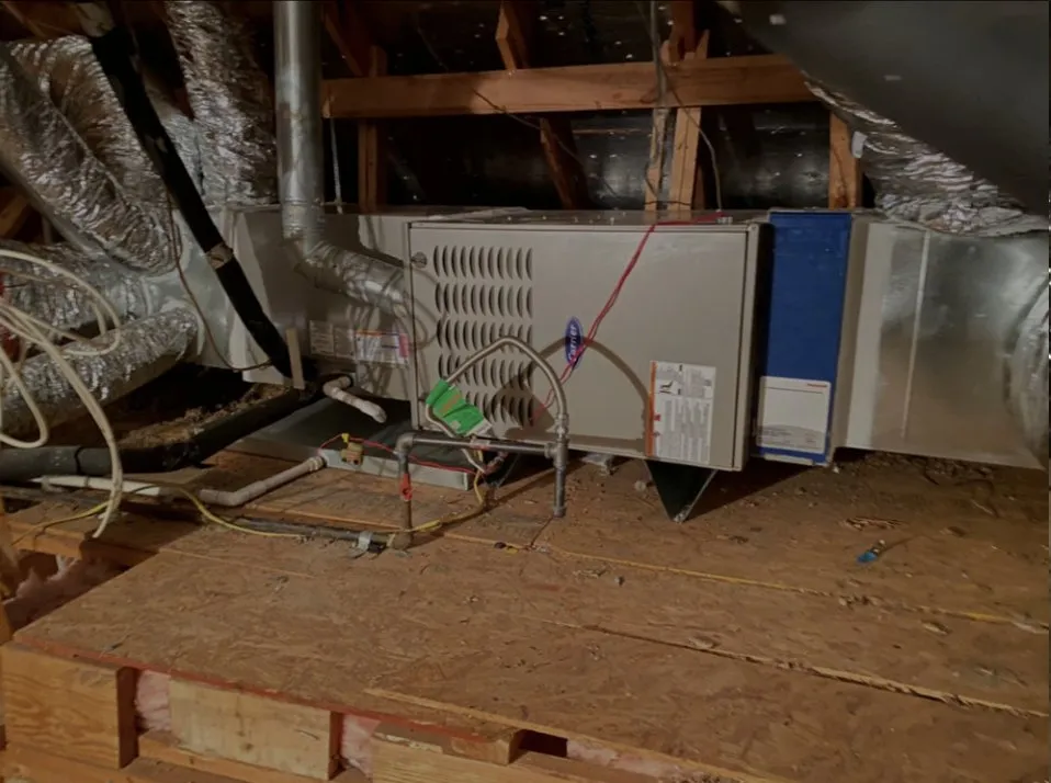 Slide of The Cozy King