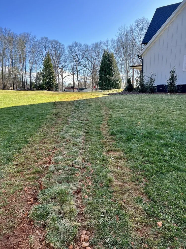 Slide of The CrawlSpace King