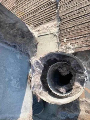 The Duct Cleaning Pros