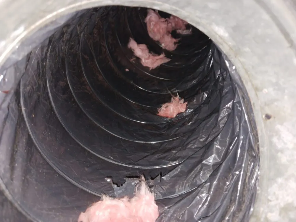 Slide of The Duct Doctor