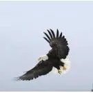 Slide of The Eagle Heating And Ac