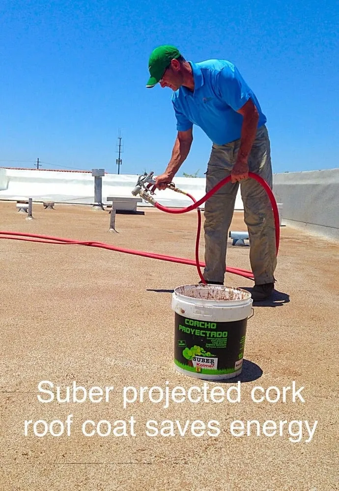 Slide of The Energy Specialist