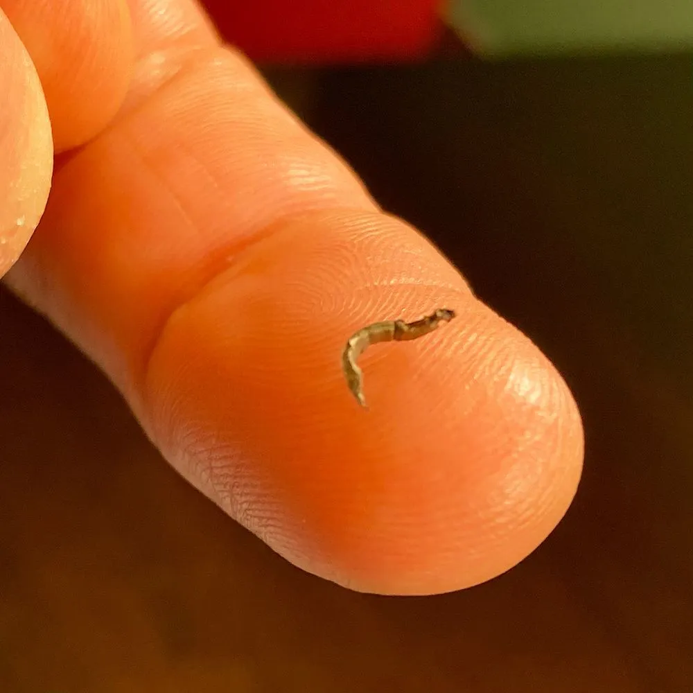 Slide of The Heating Specialist