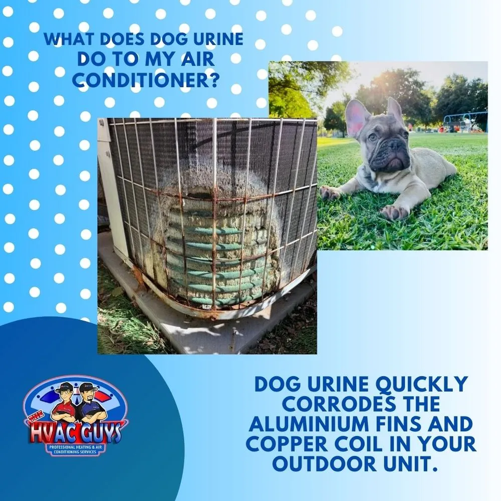 Slide of The HVAC Guys