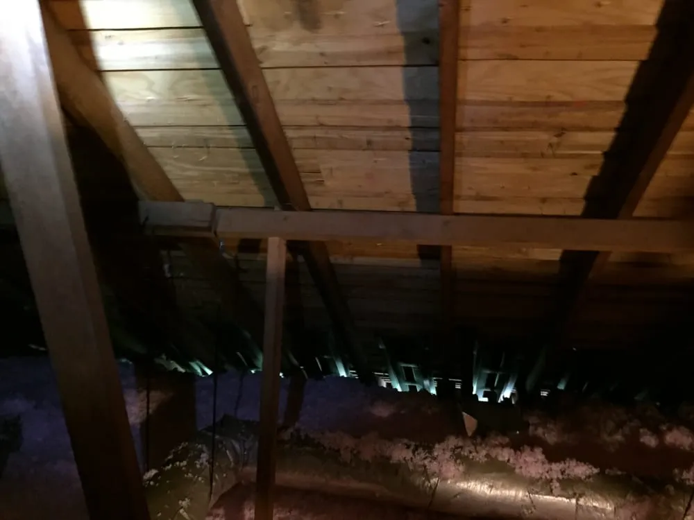 Slide of The Insulation Guru