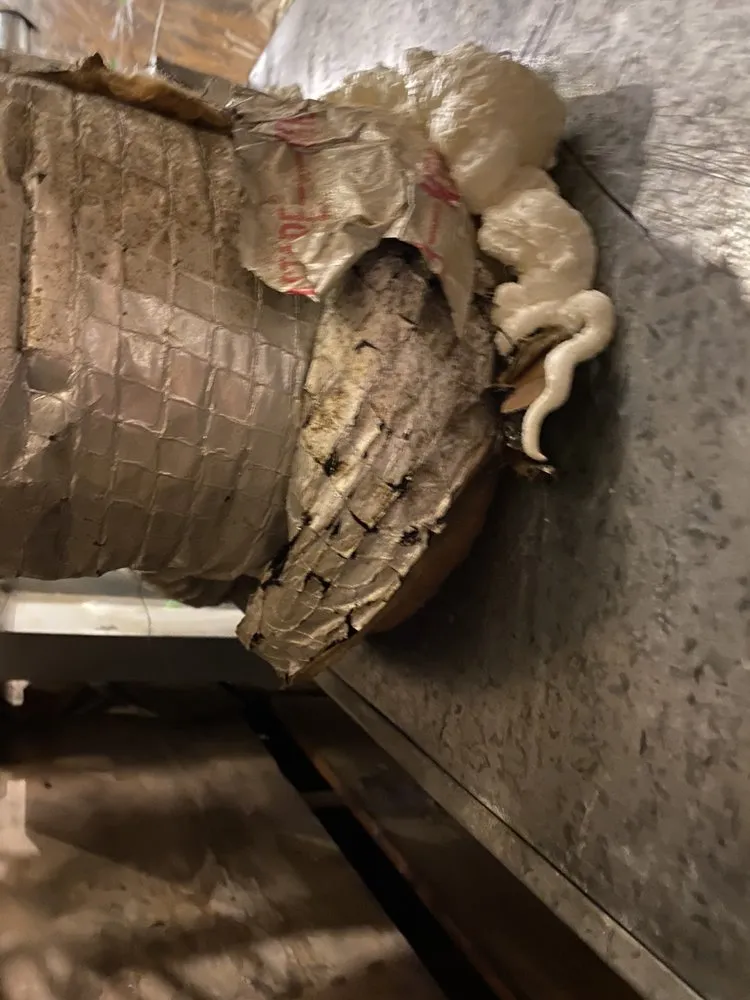 Slide of The Insulation Guru