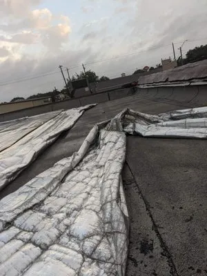 The Insulation Guru Logo