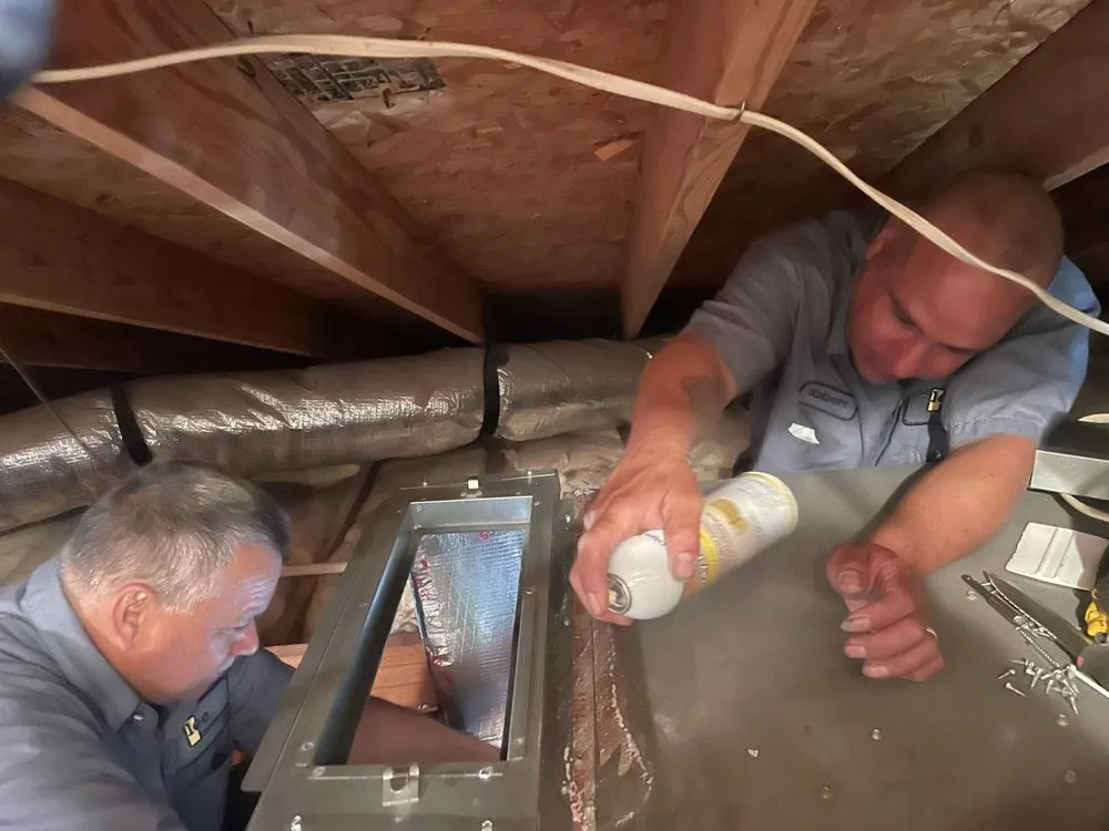 Slide of The Lee Thompson Co