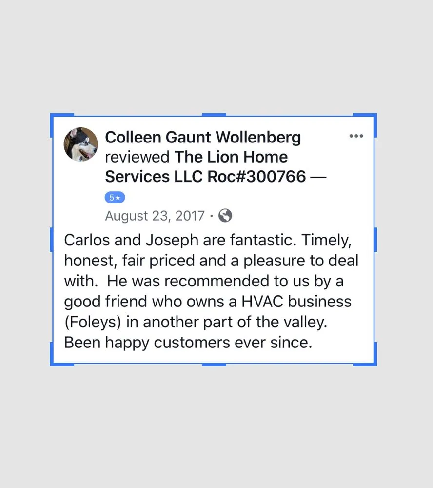 Slide of The Lion Home Service