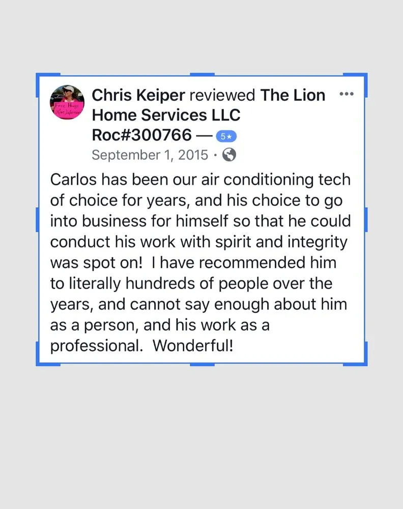 Slide of The Lion Home Service