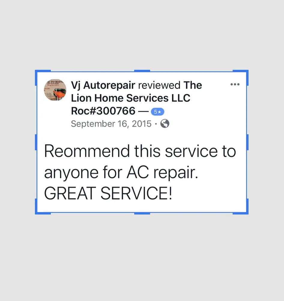 Slide of The Lion Home Service