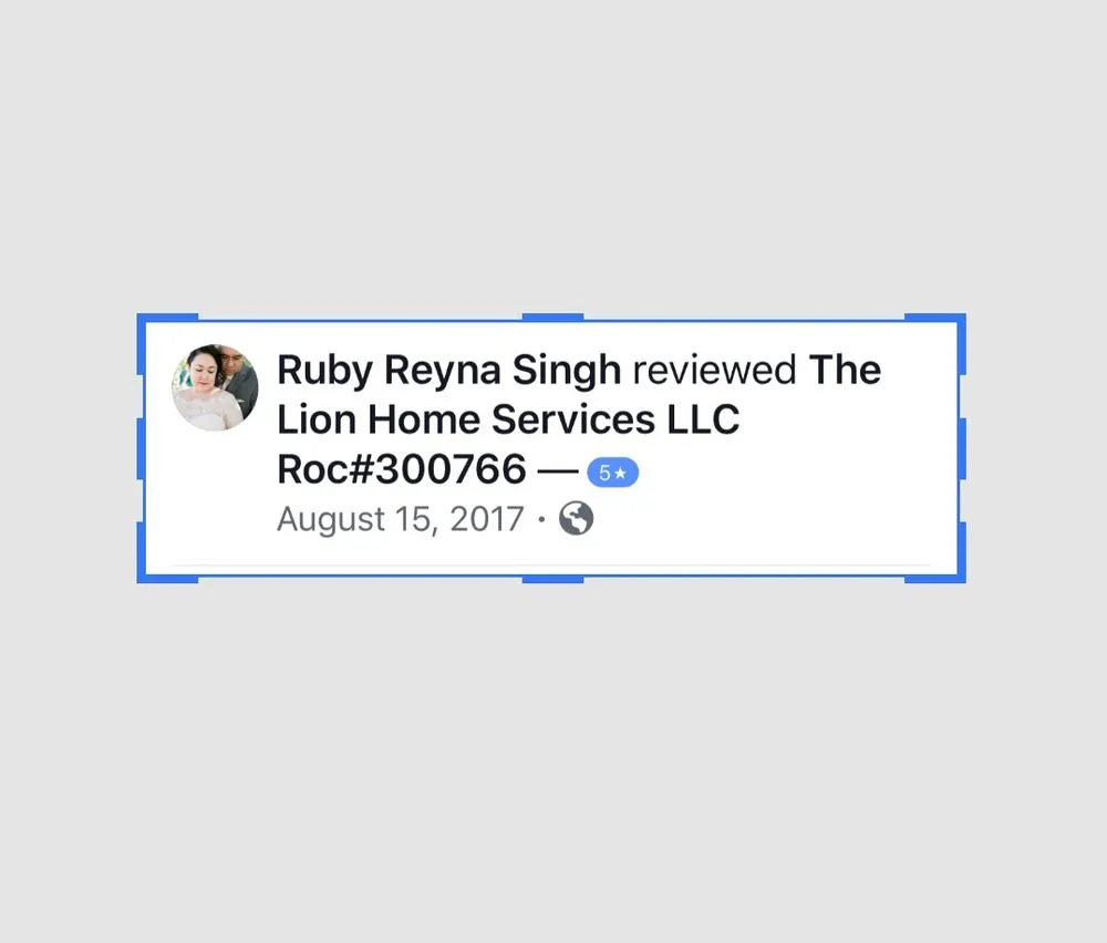 Slide of The Lion Home Service