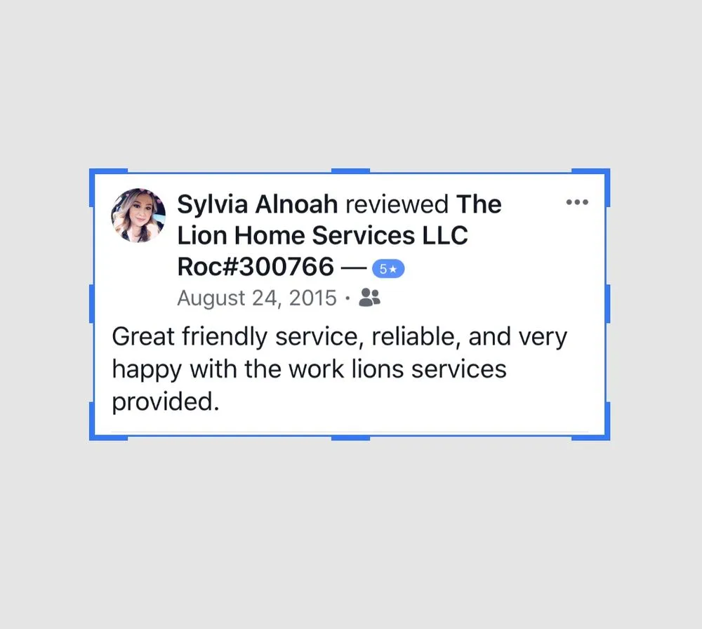 Slide of The Lion Home Service