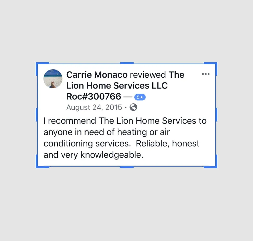 Slide of The Lion Home Service
