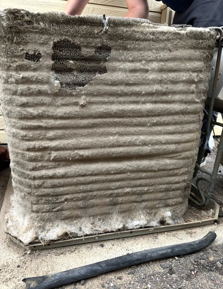 Slide of The Mechanicals