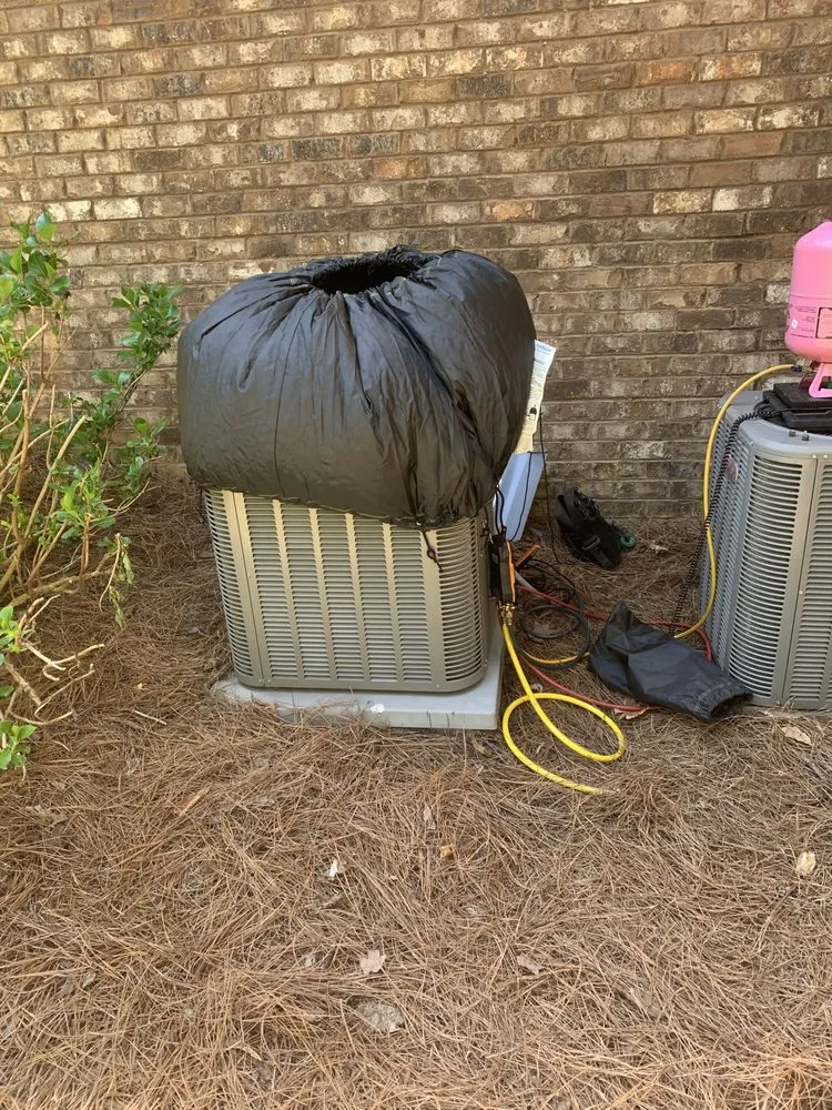 Slide of The People's Champ