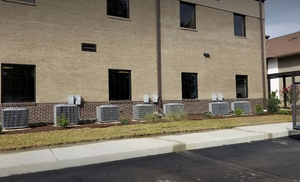 Slide of The People's Champ