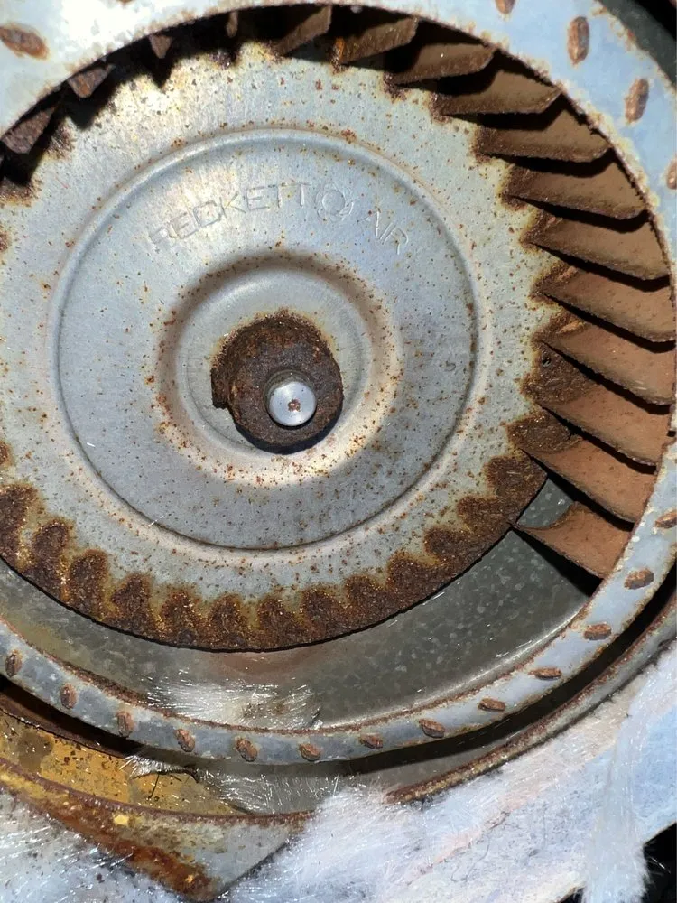 Slide of The People's Champ