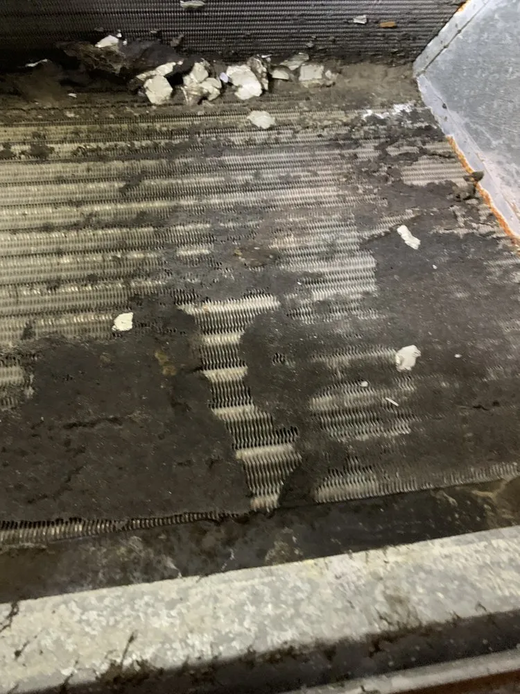 Slide of The People's Champ