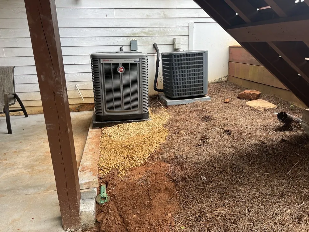 Slide of The People's Champ