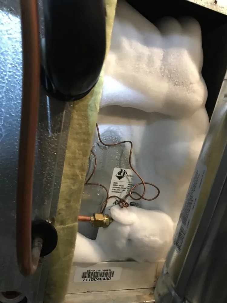 Slide of The People's Champ