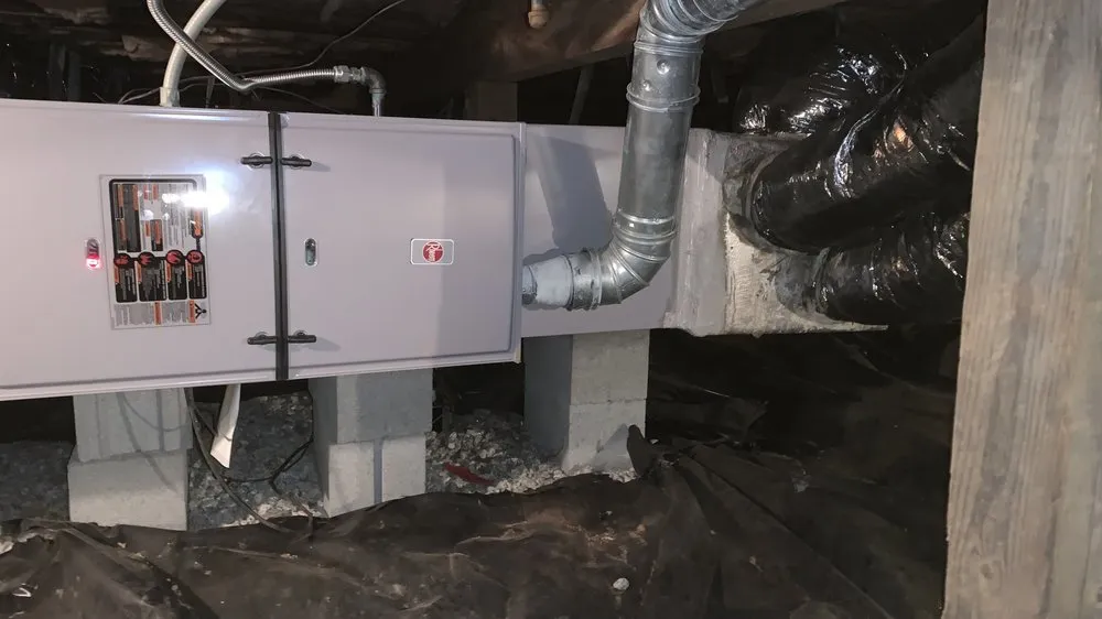 Slide of The People's Champ