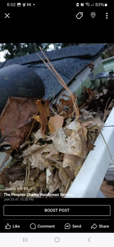 Slide of The Peoples Champ