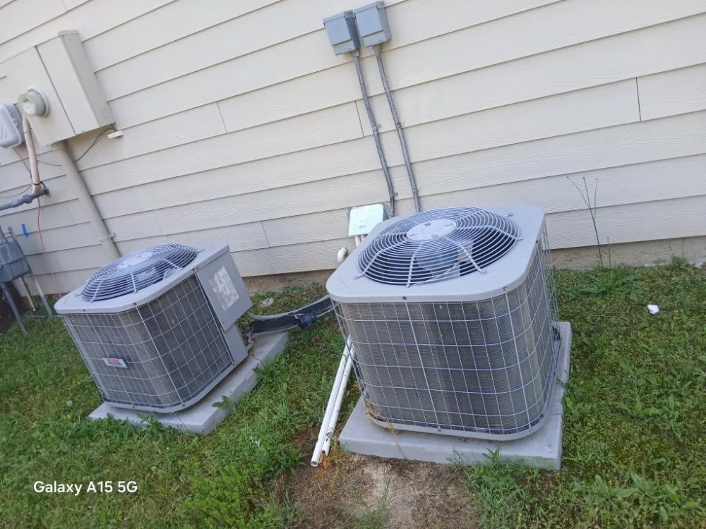 Slide of The Peoples Champ