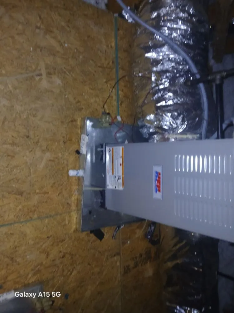 Slide of The Peoples Champ