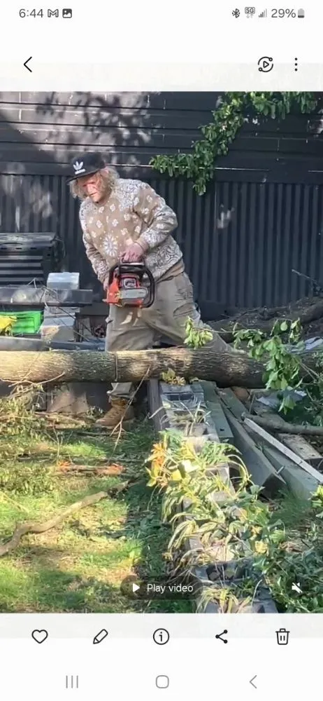 Slide of The Peoples Champ