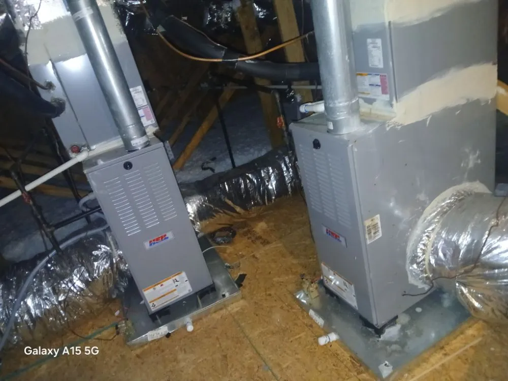 Slide of The Peoples Champ