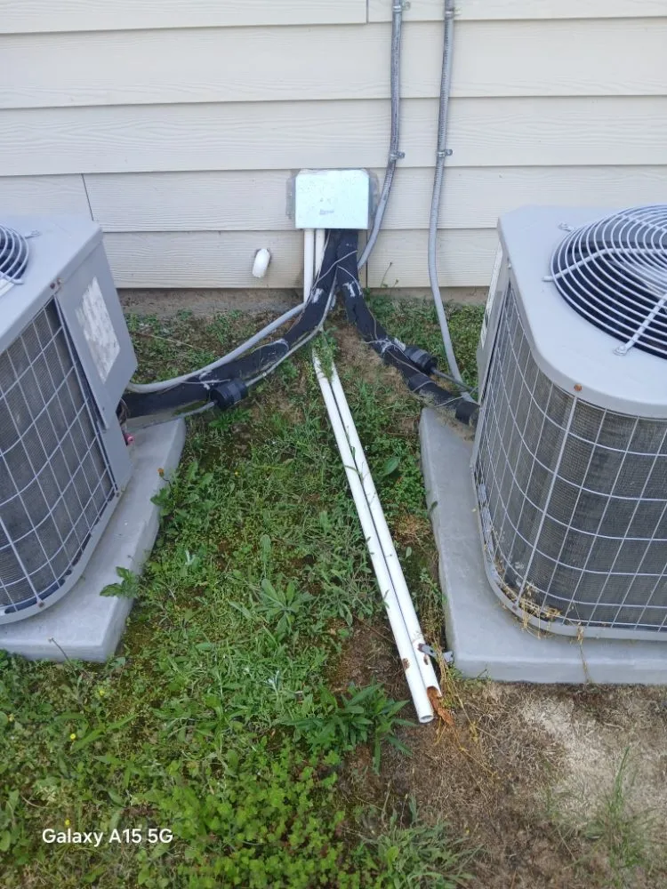 Slide of The Peoples Champ